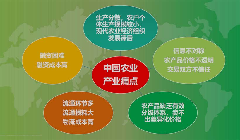 產(chǎn)業(yè)分析：中國(guó)農(nóng)業(yè)的5個(gè)關(guān)鍵問(wèn)題